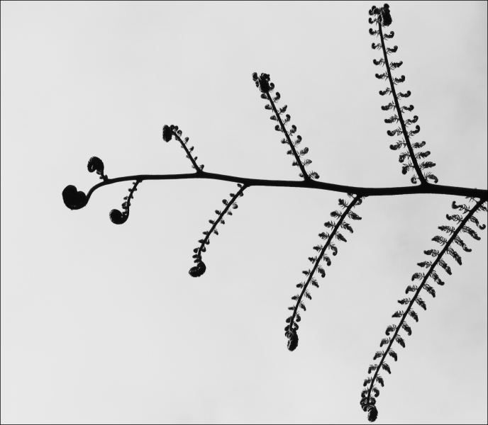 Photography by missyelle for DesignCrowd (Community Contests) | Design #9062107