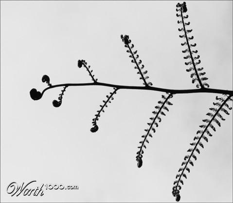 Photography by missyelle