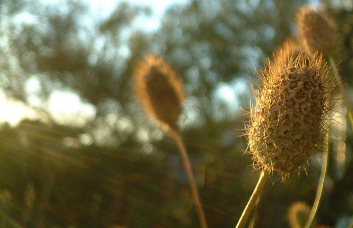 Photography by missyelle for DesignCrowd (Community Contests) | Design #9070908