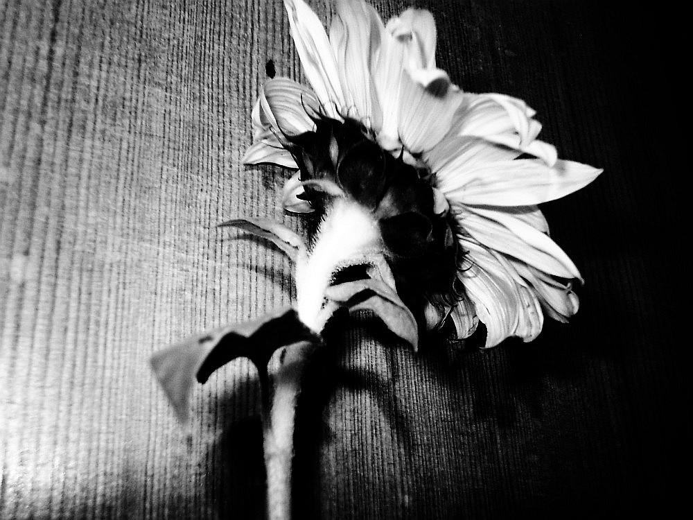 Fotografie von impression für DesignCrowd (Community Contests) | Design #9062147