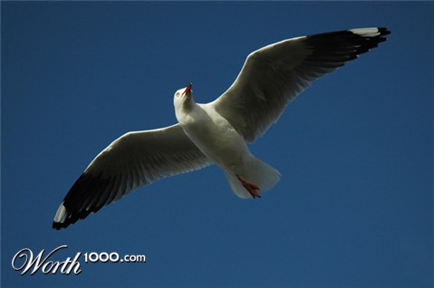 Photography by kimbomac