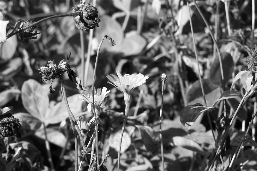 Photography by patdau for DesignCrowd (Community Contests) | Design #9061969