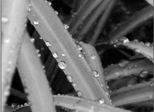 Photographie par Jon3782001 pour DesignCrowd (Community Contests) | Design #9062137