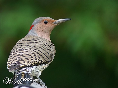 Photography by KarenC