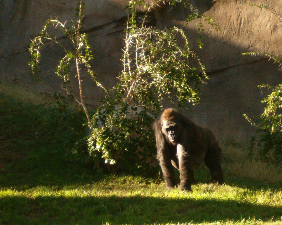 Photography by Ivor121 for DesignCrowd (Community Contests) | Design #9076344