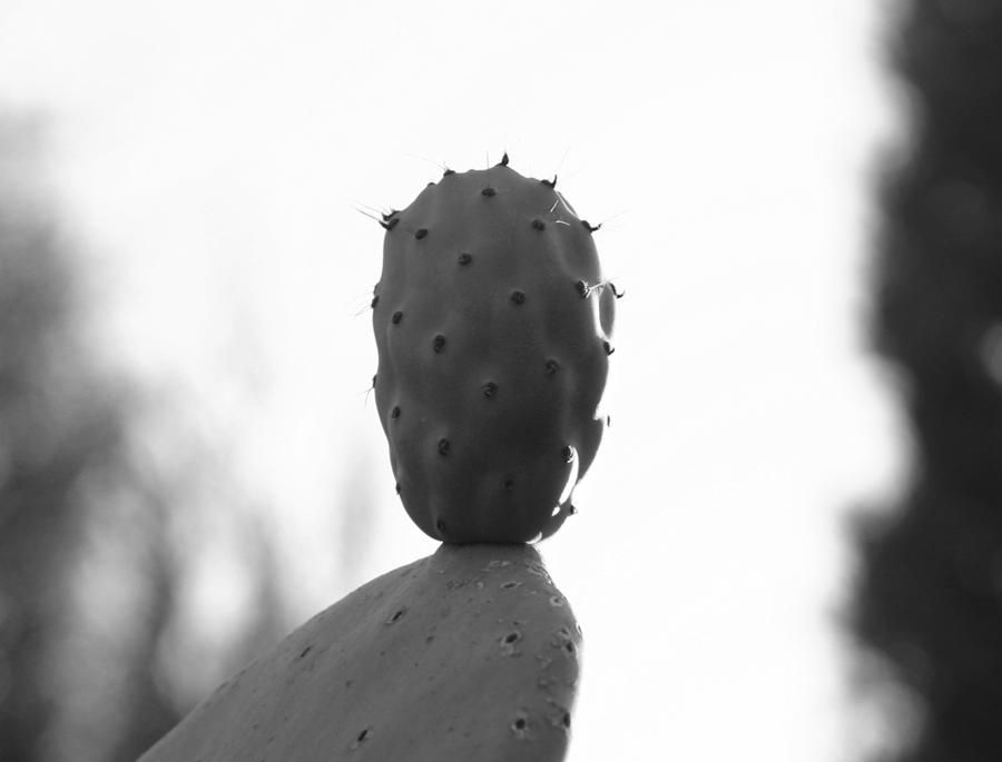 Photography by sandreu for DesignCrowd (Community Contests) | Design #9062109