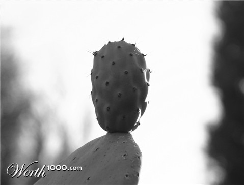 Photography by sandreu