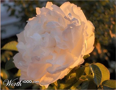 Photography by razzberry