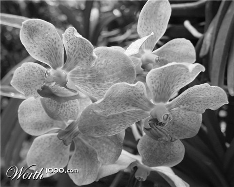 Photography by supertere