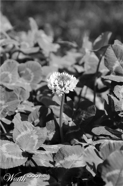 Photography by supertere
