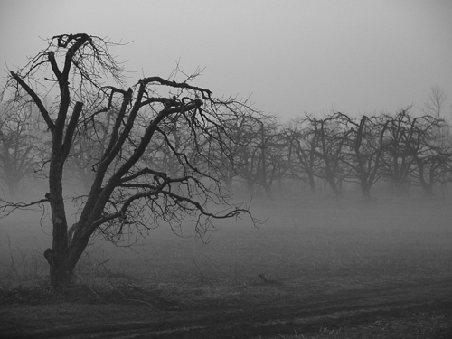Photography by mbate20 for DesignCrowd (Community Contests) | Design #9062130