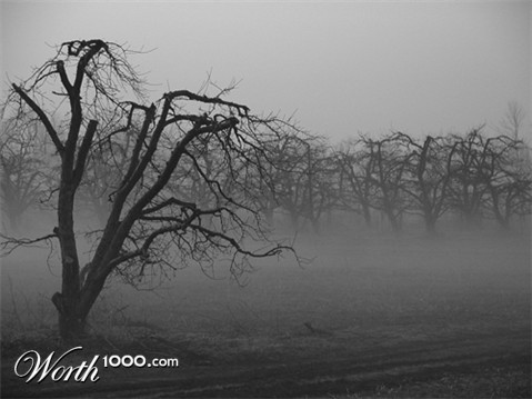 Photography by mbate20