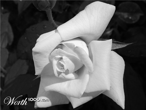 Photography by mmc9496