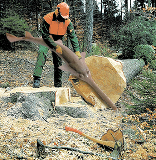 Photoshop Design by Saleko for DesignCrowd (Community Contests) | Design #9079123