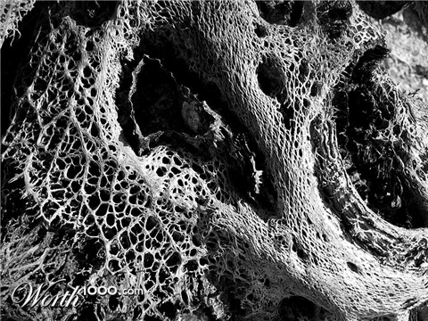 Photography by Marthese