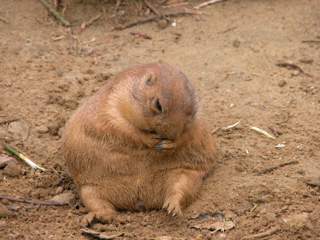 Photography by pepty for DesignCrowd (Community Contests) | Design #9076404