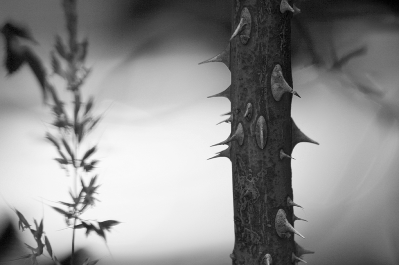 Photography by 123lezy for DesignCrowd (Community Contests) | Design #9061992