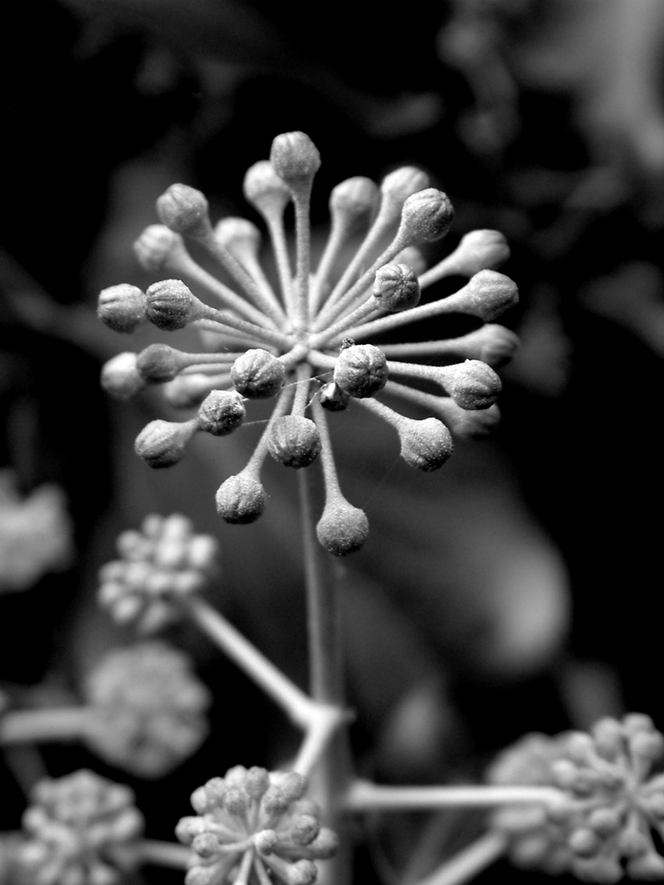 Photographie par vintagedept pour DesignCrowd (Community Contests) | Design #9071850