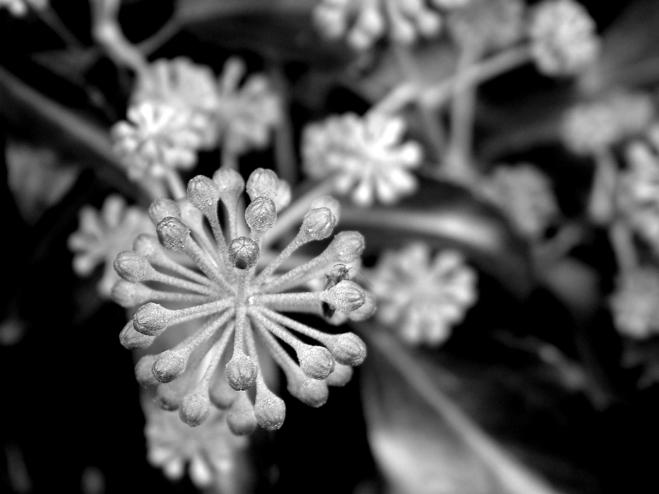 Photographie par vintagedept pour DesignCrowd (Community Contests) | Design #9061964