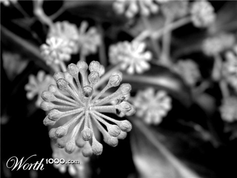 Photography by vintagedept