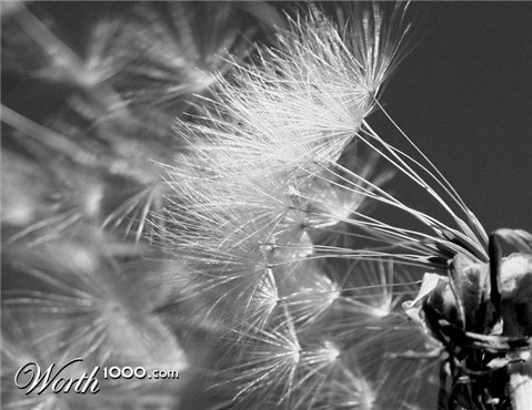 Photography by avbowler