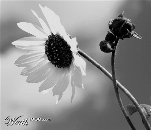 Photography by avbowler