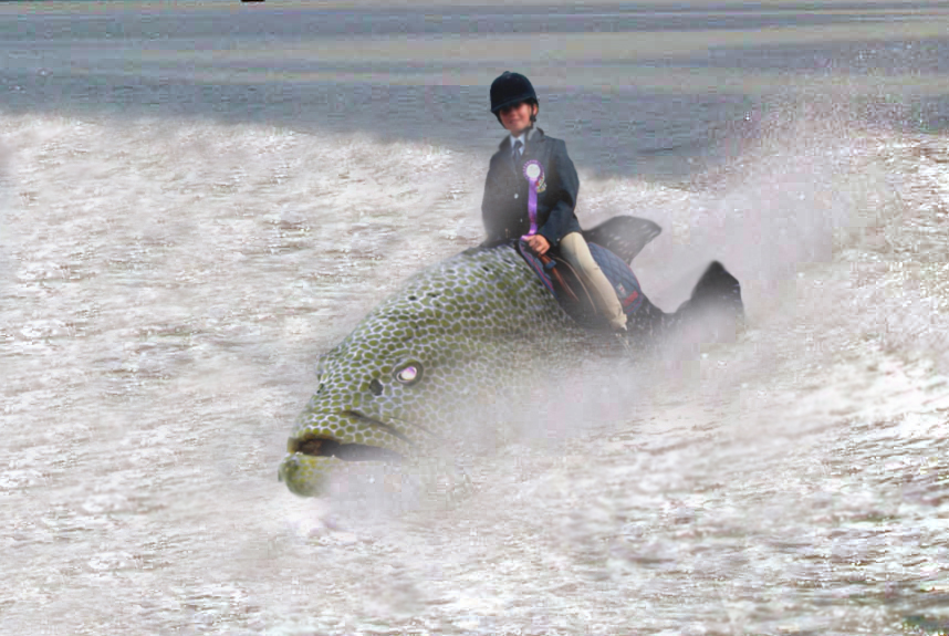 Photoshop Design by Adrune for DesignCrowd (Community Contests) | Design #9079142