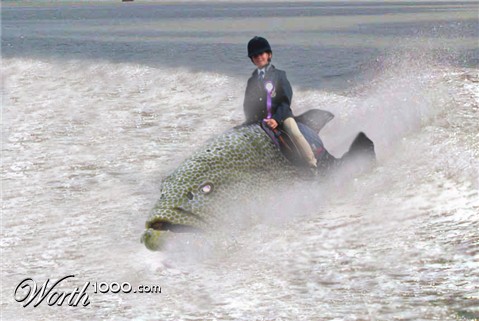 Photoshop Design by Adrune