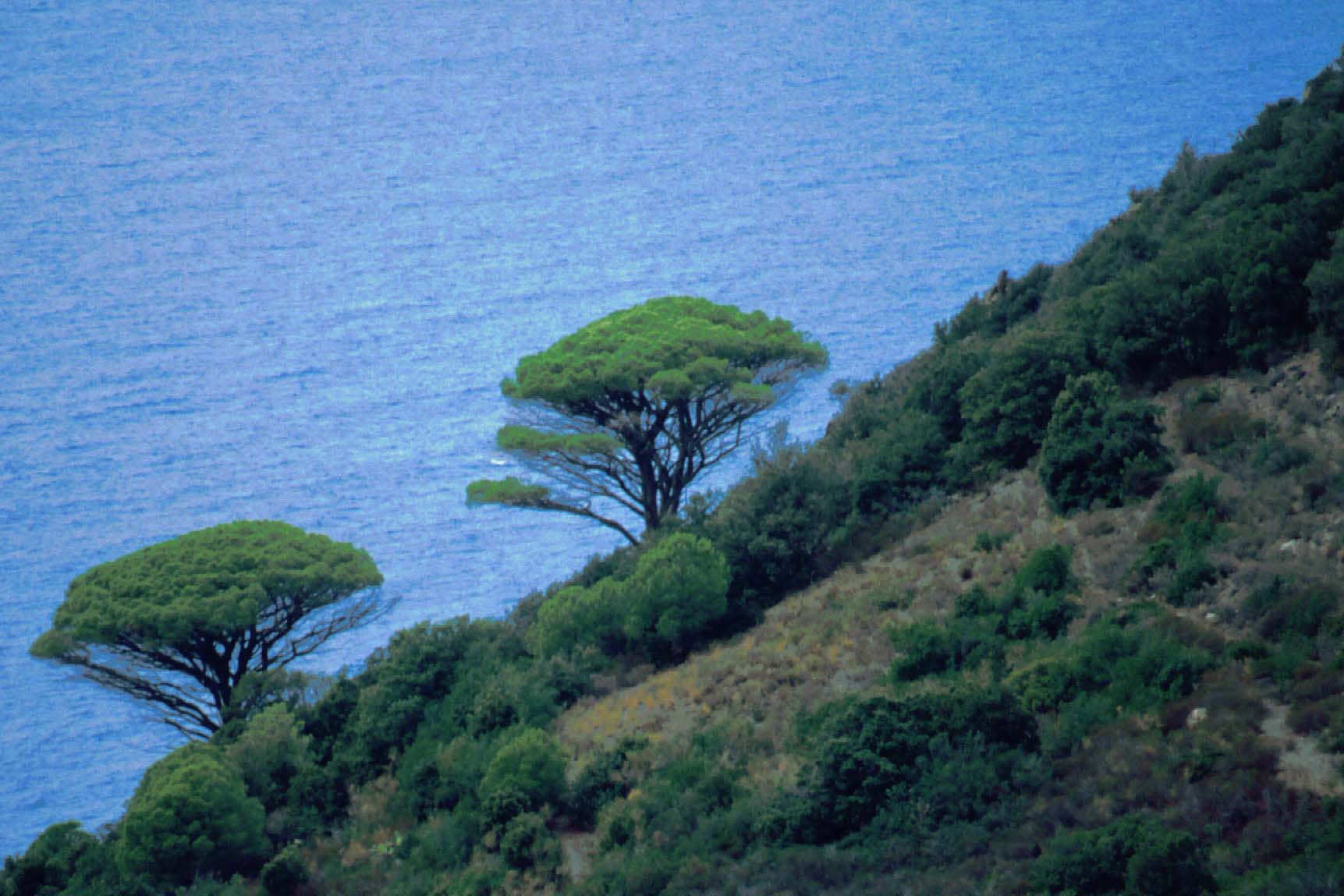 Fotografía por Bastet para DesignCrowd (Community Contests) | Diseño #9080484