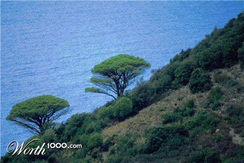 Photography by Bastet