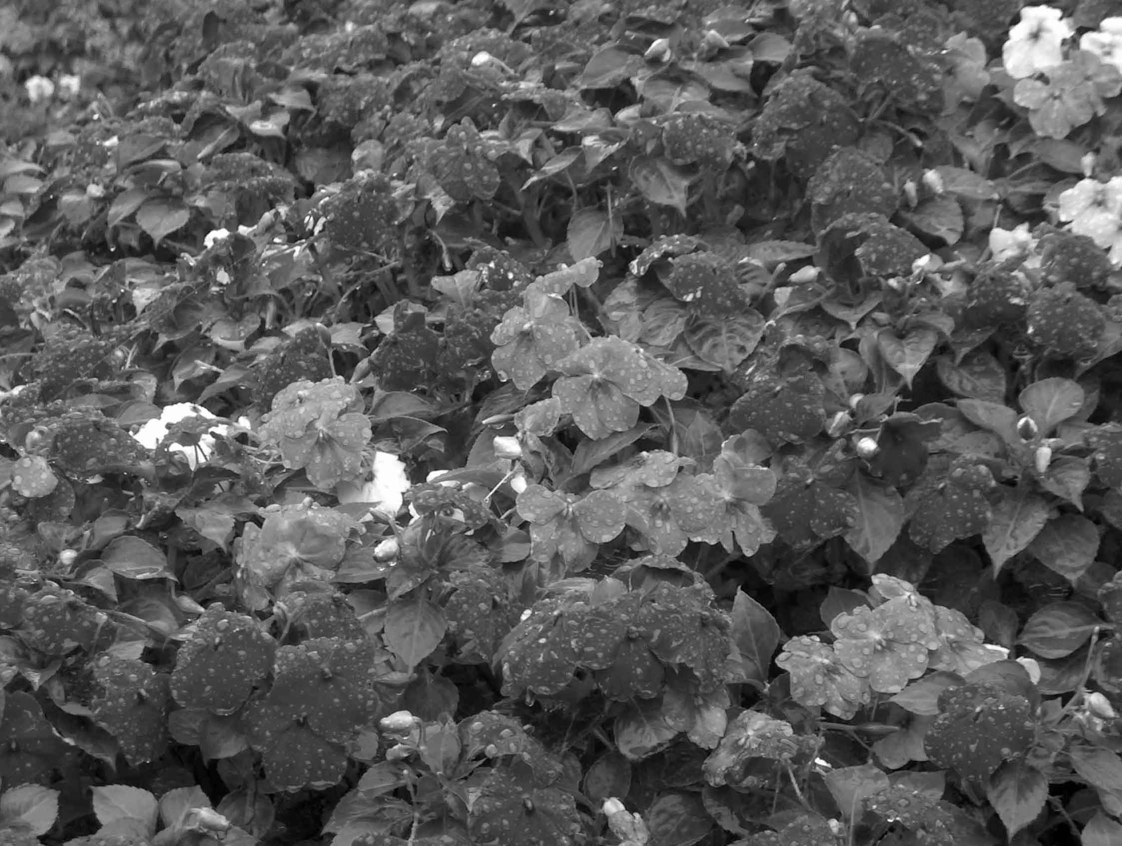 Fotografía por Salster para DesignCrowd (Community Contests) | Diseño #9061934