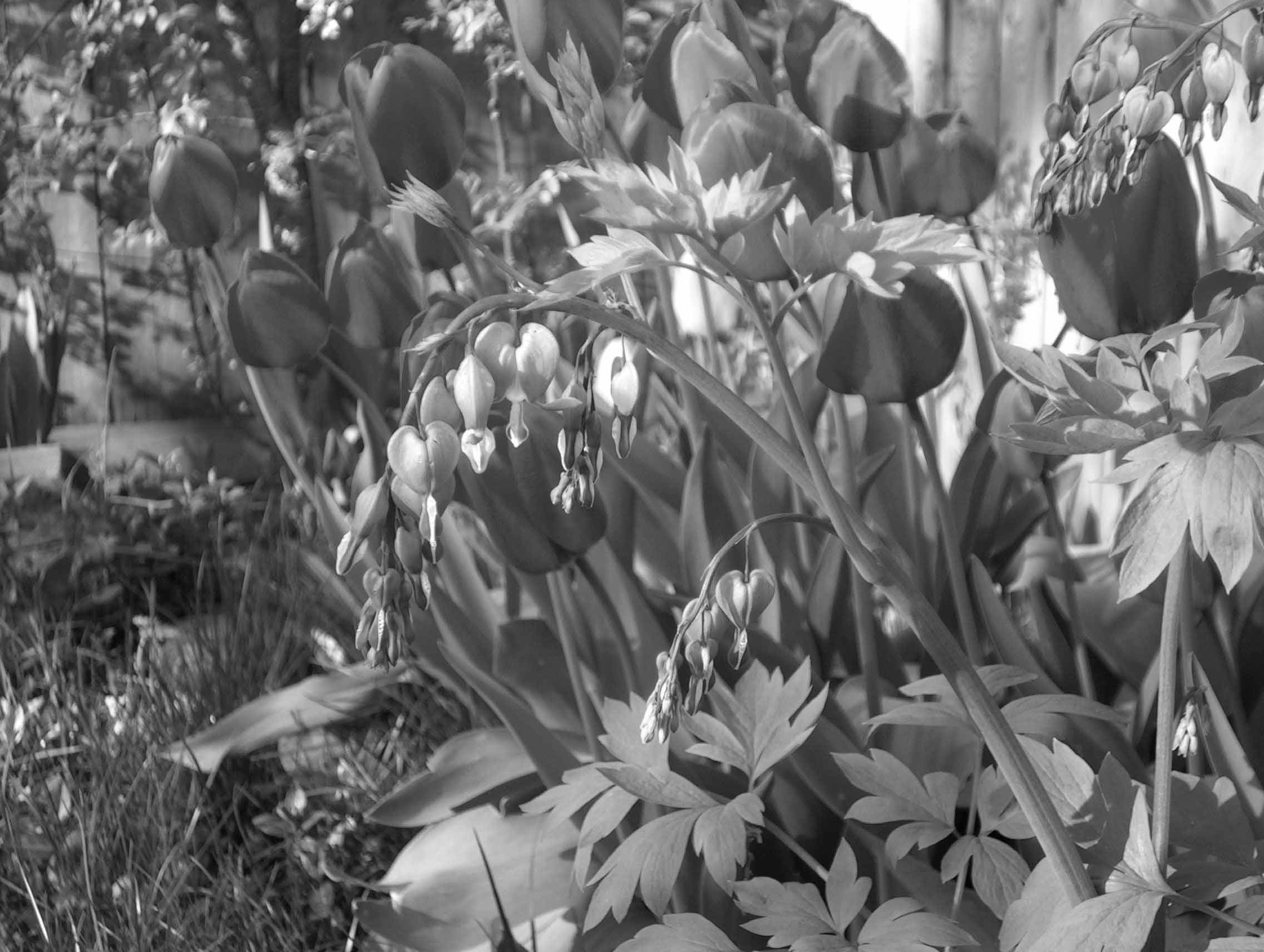 Fotografía por Salster para DesignCrowd (Community Contests) | Diseño #9071830