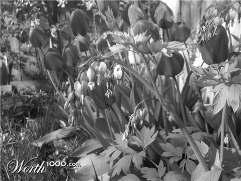 Photography by Salster