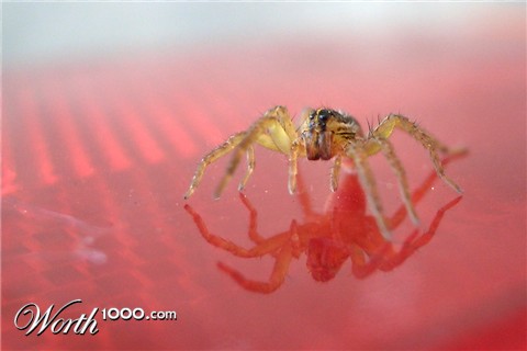 Photography by PhotoFlip