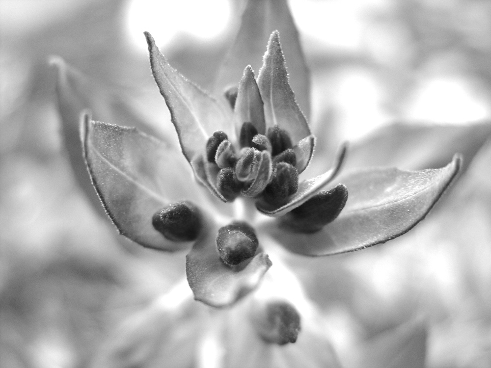 Photographie par whlutz pour DesignCrowd (Community Contests) | Design #9071950