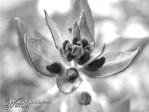 Photography by whlutz