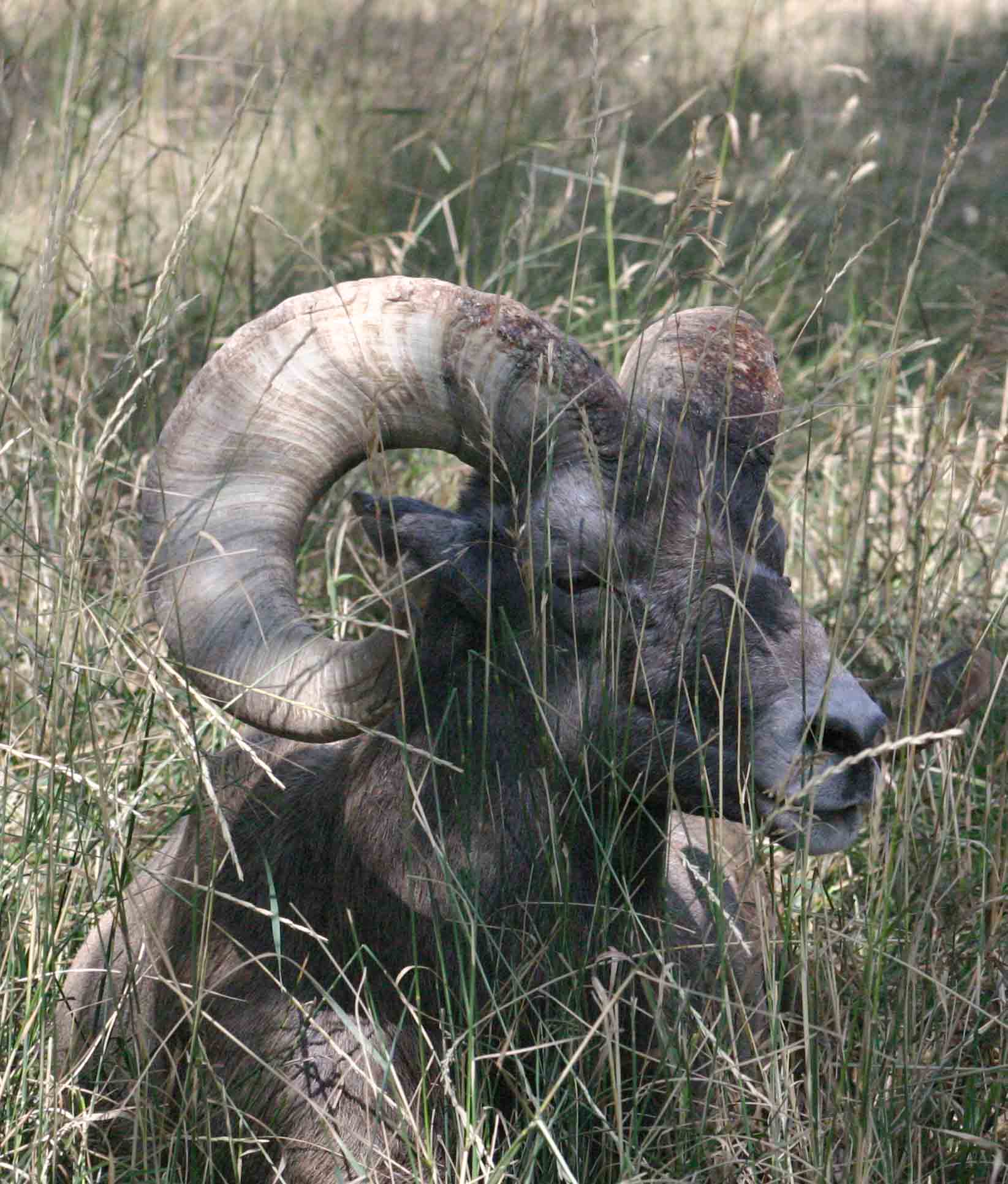 Photography by rdyamiphoto for DesignCrowd (Community Contests) | Design #9076436