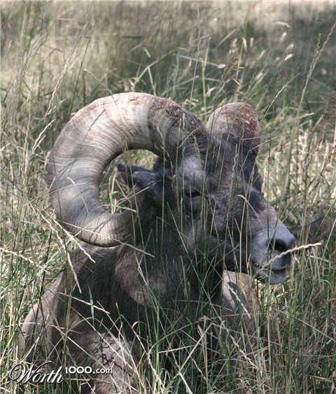 Photography by rdyamiphoto