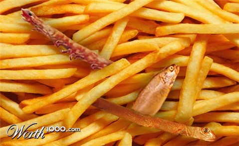 Photoshop Design by mariammohie