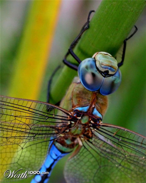 Photography by klemmg