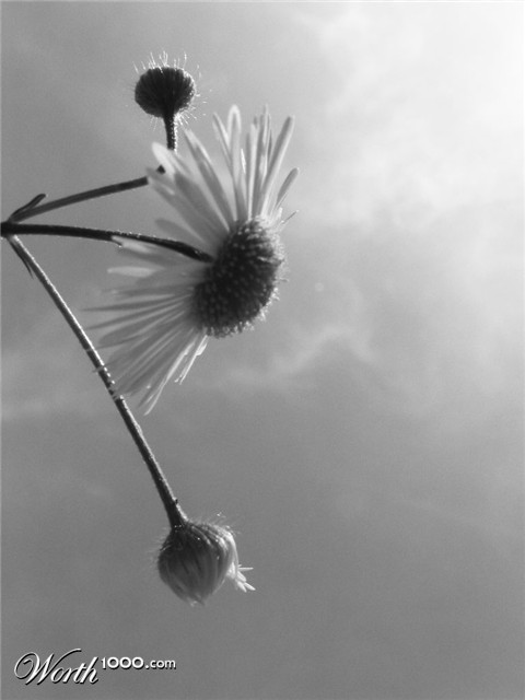 Photography by marko055