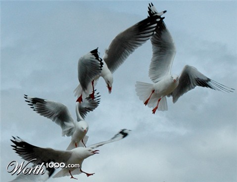 Photography by kimbomac