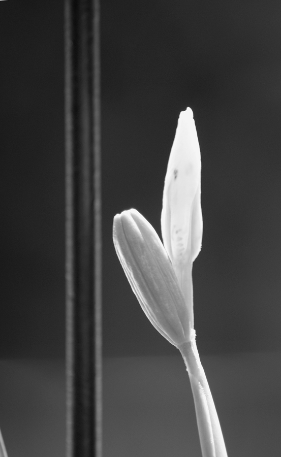 Photography by mediocre for DesignCrowd (Community Contests) | Design #9071963