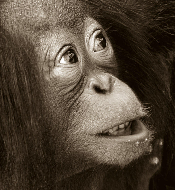 Fotografie von josephzl für DesignCrowd (Community Contests) | Design #9076416