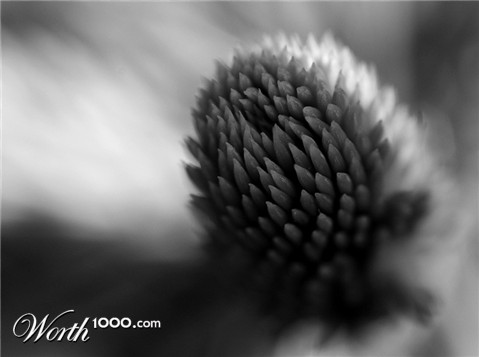 Photography by lineus