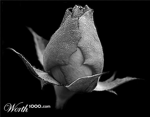 Photography by smylie