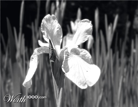 Photography by chchchCHIA