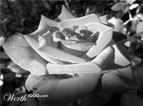 Photography by jennsee
