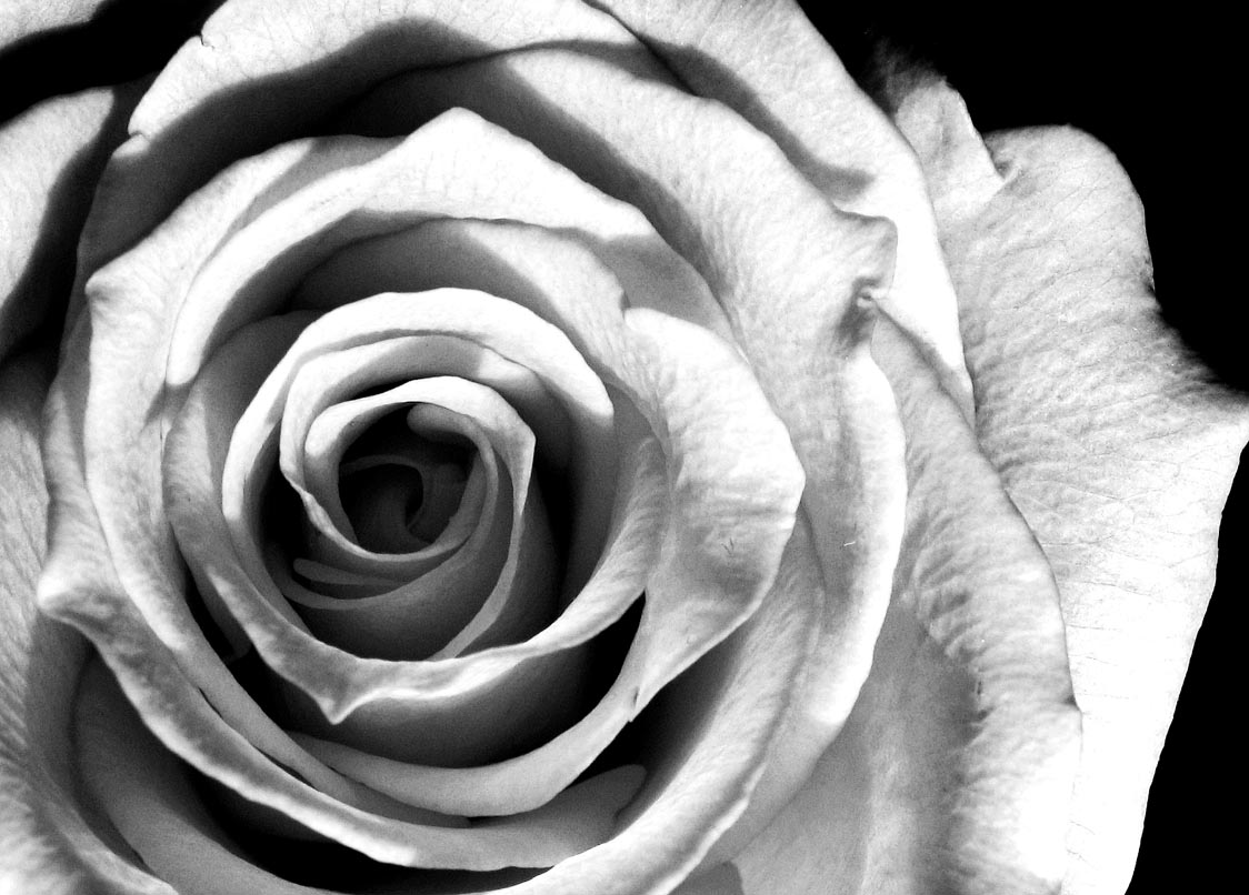 Photographie par sweetdream pour DesignCrowd (Community Contests) | Design #9071936
