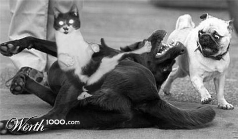 Photoshop Design by morganichole